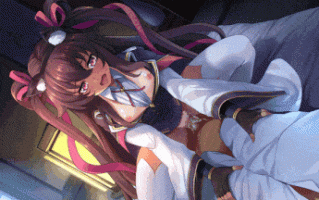 [页游离线/pc+安卓joi/动态/CV/更新] 对魔忍 Taimanin RPGX v26.02 汉化破解版 全绅士整合 全H事件 29.2G