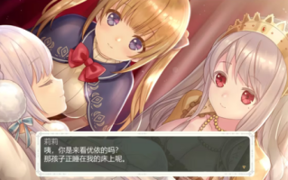 PC资源/ARPG/爆款神作/少女骑士救主记/动态CG/中文/